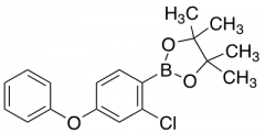 2-Chloro-4-(phenoxy)phenylboronic Acid Pinacol Ester