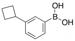 3-Cyclobutylphenylboronic acid
