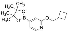 2-(Cyclobutylmethoxy)-4-(4,4,5,5-Tetramethyl-1,3,2-Dioxaborolan-2-Yl)Pyridine