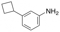 3-cyclobutylaniline