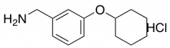 [3-(Cyclohexyloxy)phenyl]methanamine Hydrochloride