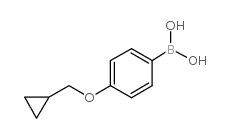 4-(Cyclopropylmethoxy)phenylboronic acid