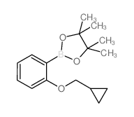 2-(2-Cyclopropylmethoxyphenyl)-4,4,5,5-tetramethyl[1,3,2]dioxaborolane