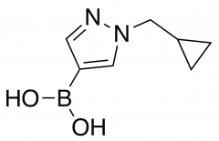 1-(Cyclopropylmethyl)pyrazole-4-boronic acid