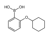 2-(Cyclohexyloxy)phenylboronic acid