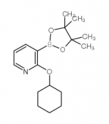 2-Cyclohexyloxypyridine-3-boronic acid, pinacol ester
