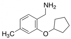 [2-(cyclopentyloxy)-4-methylphenyl]methanamine