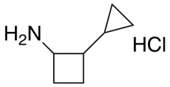 2-Cyclopropylcyclobutanamine Hydrochloride