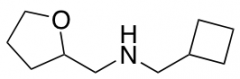 (cyclobutylmethyl)(tetrahydrofuran-2-ylmethyl)amine