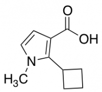 2-cyclobutyl-1-methyl-1H-pyrrole-3-carboxylic acid