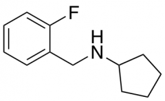 Cyclopentyl-(2-fluorobenzyl)amine