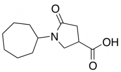 1-cycloheptyl-5-oxopyrrolidine-3-carboxylic Acid