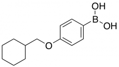 [4-(Cyclohexylmethoxy)phenyl]boronic Acid