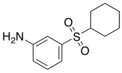 3-(Cyclohexanesulfonyl)aniline