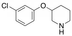 3-(3-Chlorophenoxy)piperidine Hydrochloric Acid Salt