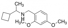 (1-Cyclobutylethyl)[(2,4-dimethoxyphenyl)methyl]amine