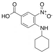 4-(Cyclohexylamino)-3-nitrobenzoic Acid