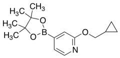 2-(Cyclopropylmethoxy)-4-(4,4,5,5-tetramethyl-1,3,2-dioxaborolan-2-yl)pyridine