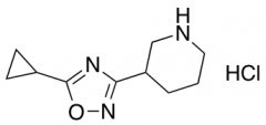 5-Cyclopropyl-3-(Piperidin-3-Yl)-1,2,4-Oxadiazole Hydrochloride
