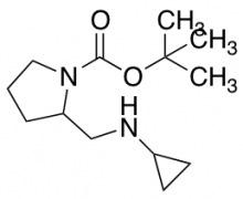 2-Cyclopropylaminomethylpyrrolidine-1-carboxylic acid tert-butyl ester