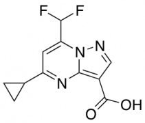 5-Cyclopropyl-7-(Difluoromethyl)Pyrazolo[1,5-A]Pyrimidine-3-Carboxylic Acid