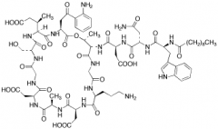 Daptomycin