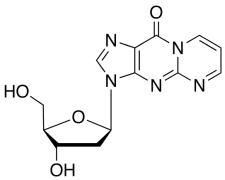 3-(2-Deoxy-&beta;-D-erythro-pentofuranosyl)pyrimido[1,2-a]purin-10(3H)-one