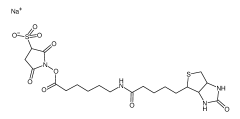 2'-Deoxy-5'-O-DMT-N6-methyl-8-oxoadenosine 3'-CE phosphoramidite