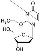 2'-Deoxy-2-O-ethyluridine