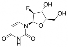 1-(2-Deoxy-2-fluoro-b-D-arabinofuranosyl)uracil