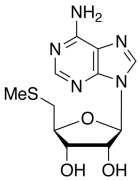 5'-Deoxy-5'-(methylthio)adenosine