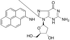 2'-Deoxy-8-(1-pyrenylamino)guanosine