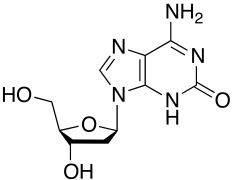 2&rsquo;-Deoxyisoguanosine