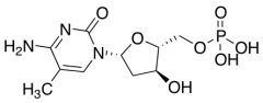 2'-Deoxy-5-methylcytidine-5'-monophosphate Disodium Salt
