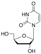 3&rsquo;-Deoxy Uridine