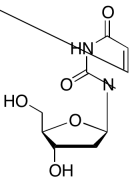 2&rsquo;-Deoxyuridine