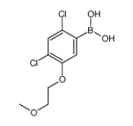 2,4-Dichloro-5-(2-methoxyethoxy)phenylboronic acid