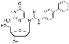 N-(2&rsquo;-Deoxyguanosin-8-yl)-4-aminobiphenyl