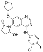 Des-(4-dimethylamino-2-en-1-oxo)butylamino 6-(5-Hydroxy-pyrrolidin-2-on-1-yl) Afatinib