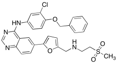 Desfluoro Lapatinib
