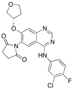 Des-(4-dimethylamino-2-en-1-oxo)butylamino 6-(pyrrolidin-2,5-dion-1-yl) Afatinib