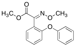 Desmethylamino Methoxy (E)-Metominostrobin