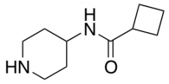 N-(piperidin-4-yl)cyclobutanecarboxamide