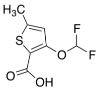 3-(difluoromethoxy)-5-methylthiophene-2-carboxylic acid