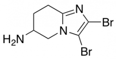 2,3-Dibromo-5H,6H,7H,8H-imidazo[1,2-a]pyridin-6-amine
