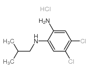 4,5-Dichloro-N1-isobutylphenylene-1,2-diamine Hydrochloride