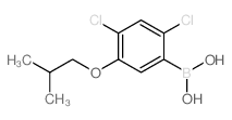2,4-Dichloro-5-isobutoxyphenylboronic acid