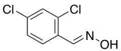2,4-dichlorobenzaldehyde oxime