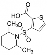 3-[(2,6-Dimethylpiperidin-1-yl)sulfonyl]thiophene-2-carboxylic Acid