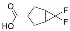 6,6-Difluorobicyclo[3.1.0]hexane-3-carboxylic Acid